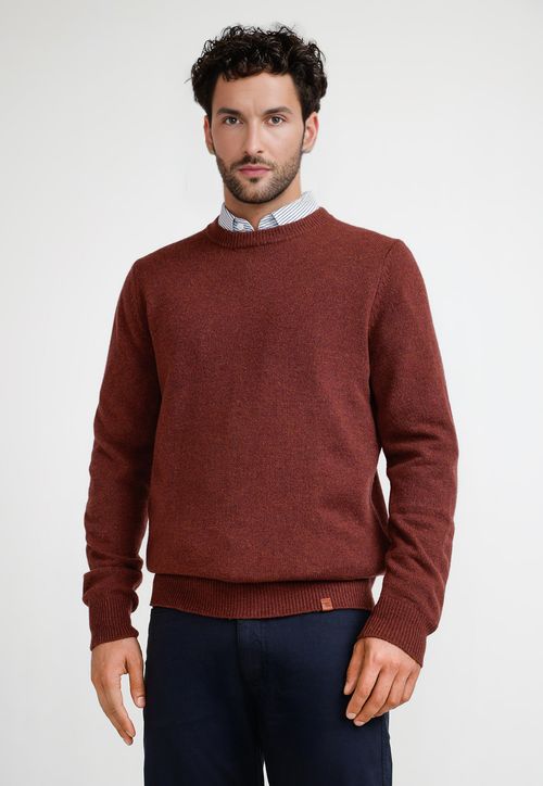 Sweater Hombre Cuello C Peter Burdeo
